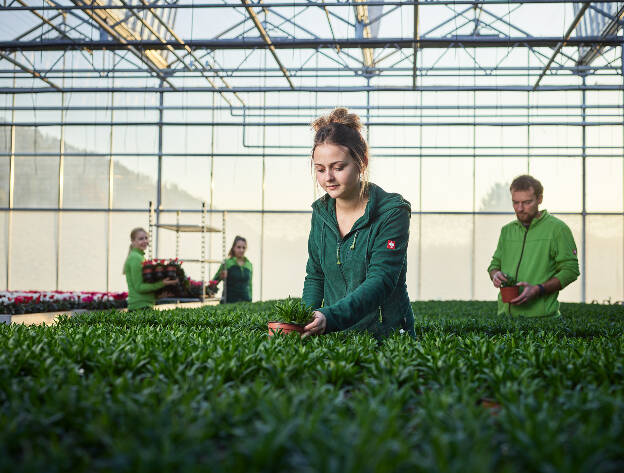 Unternehmensfotos Gärtnerei Frau und Mann pflegen Pflanzen - Businessfotograf Businessfotografie Christian Vorhofer